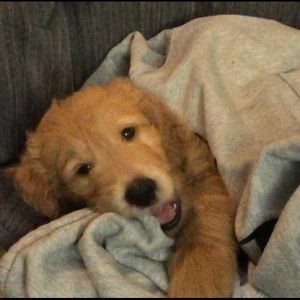 Meet your Posher, Kexin